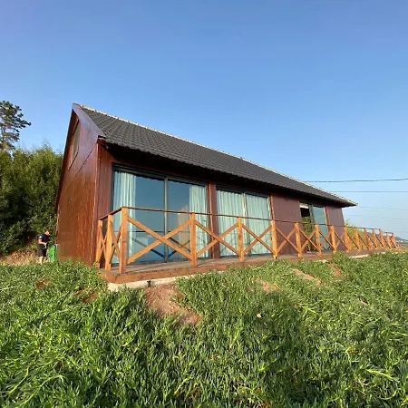 Casa Pereirinha * Estreito Da Calheta